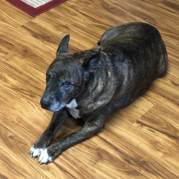 End of duty 6/12/24 - Picture 2 of 15